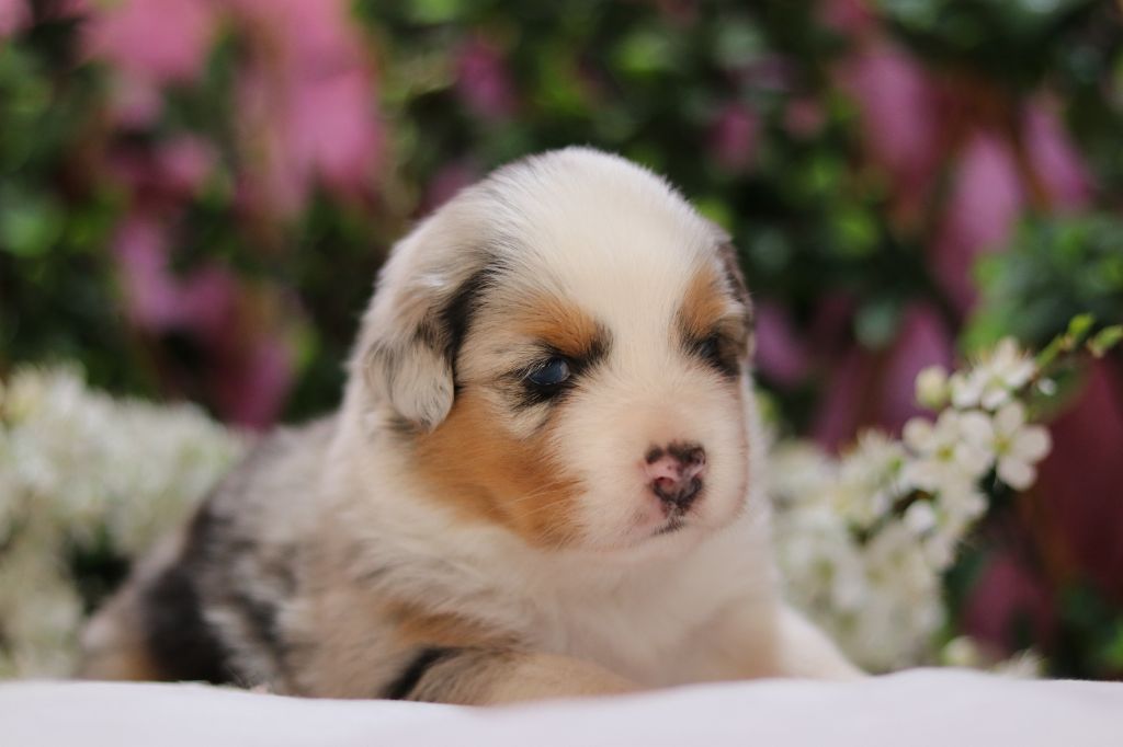 Des bébés arrivent en cette fin d'année !